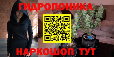 стафф Среднеуральск